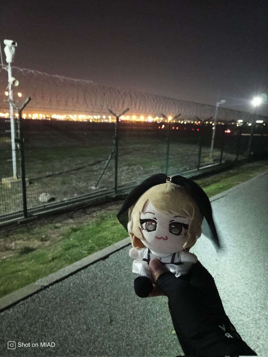 kitakam99092653's tweet image. 李子，虹桥...
#りこのトリコ #トリコのりこ #MottoRico #佐々木李子