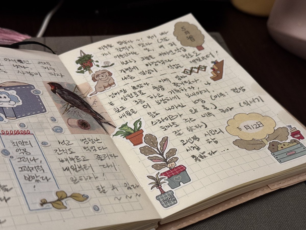 오늘애 일기 🌻