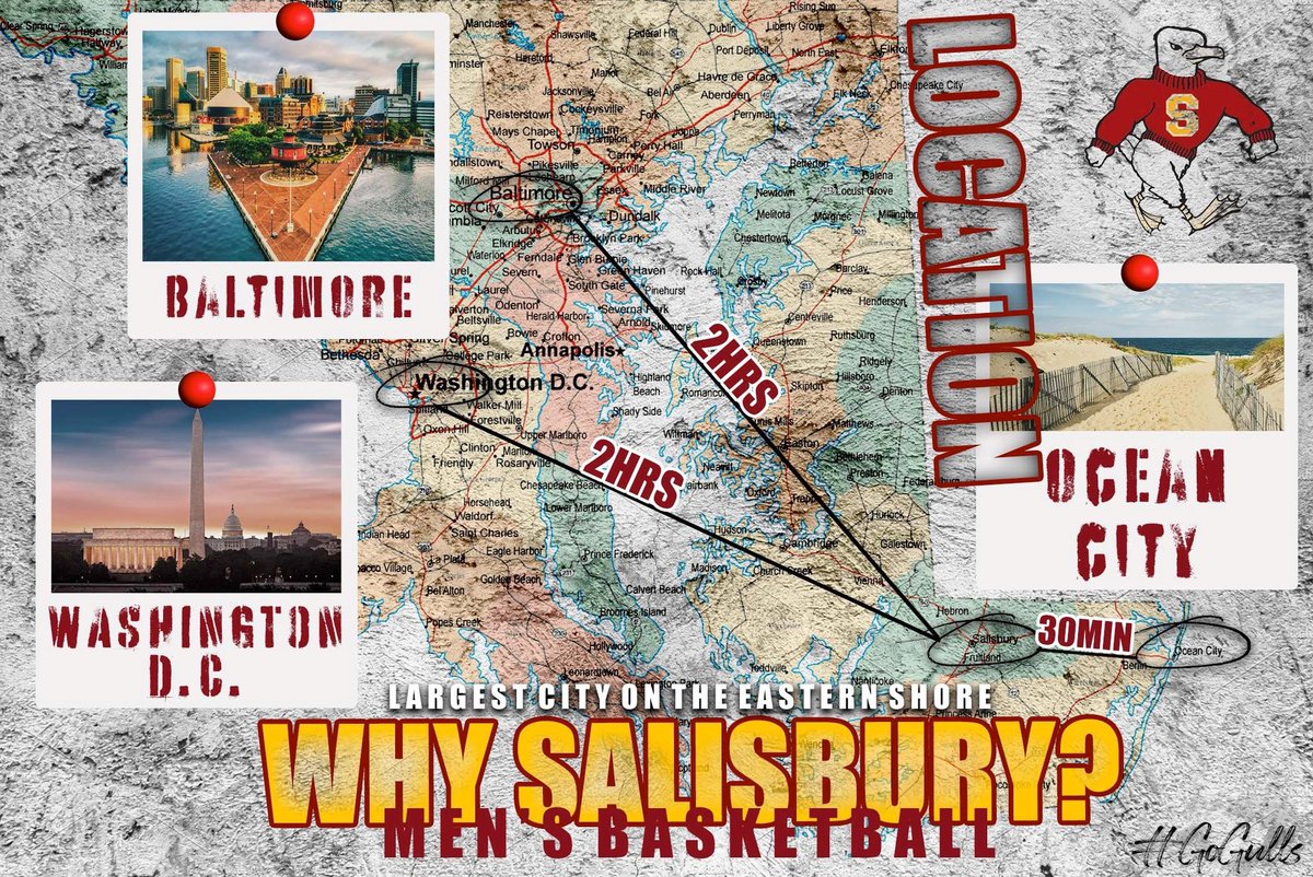 Why Salisbury Basketball 🏀? 
Location ✅
Facilities ✅
Education ✅ 

#OnTheRise #GoGulls