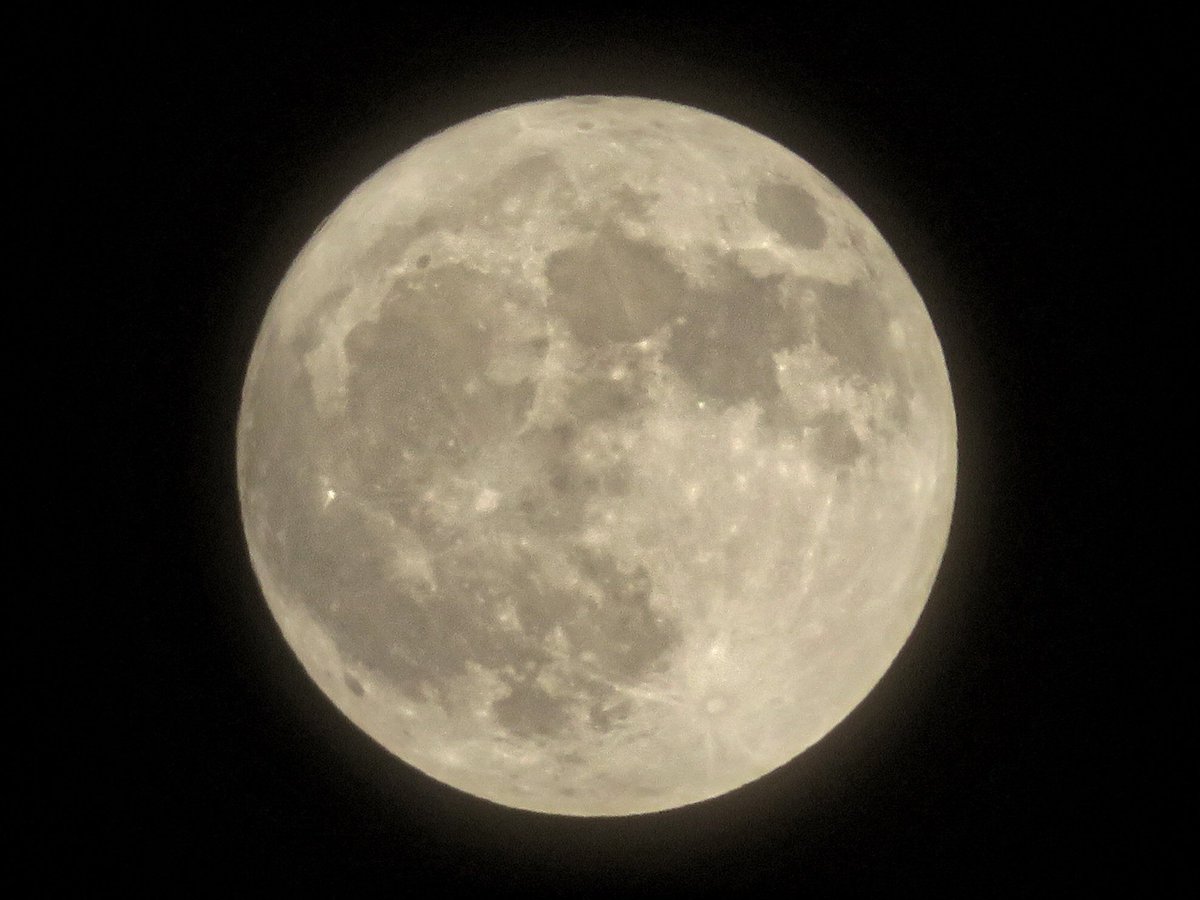 まんまるな月が夜空で輝いています。

ちょうど満月になるのは5/13未明です。
ぜひ夜空を見上げてみてください🌕