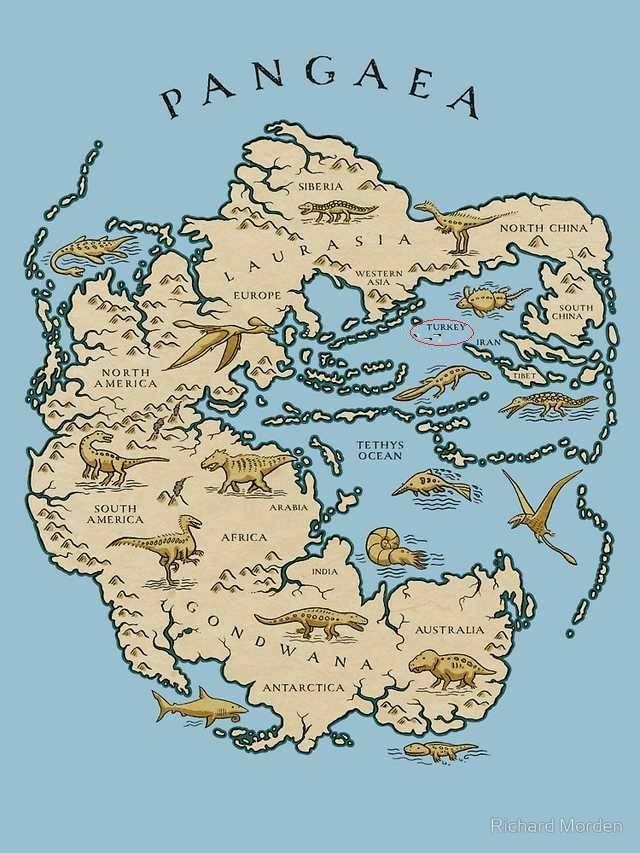 🦕 Neden Türkiye'de dinozor fosilinin olmadığını bu görselden anlayabiliriz.
Dinozorların ortaya çıktığı dönemlerde Türkiye okyanus üzerinde yüzen küçük adalardan ibaretti.