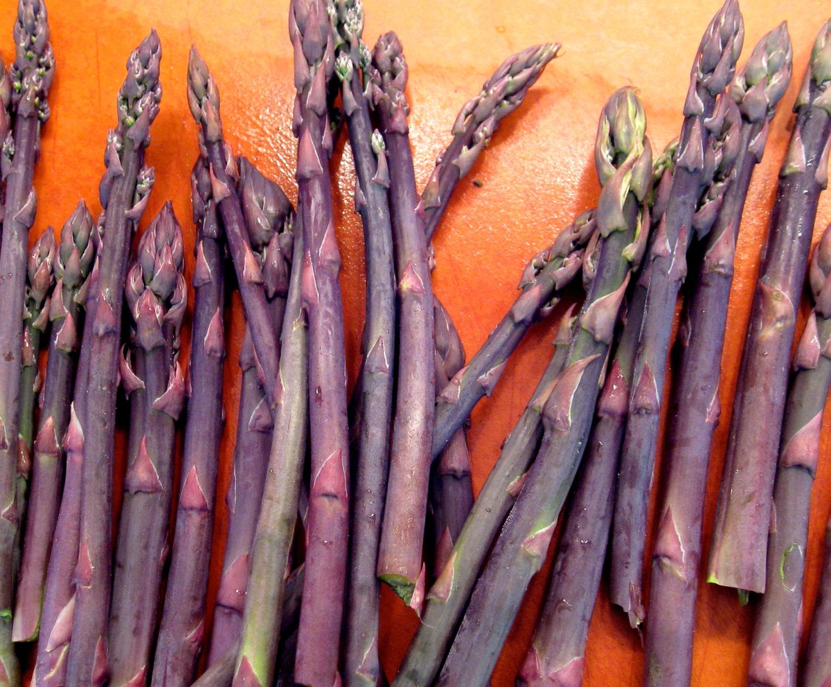 KenyonClassics (@kenyonclassics) on Twitter photo We're hoping for the famed locally farmed purple asparagus when <a href="/KenyonClassics/">KenyonClassics</a> profs attend the Sr Class Dinner, Wed. May 14, 5-7, Peirce Hall. We're hoping for the famed locally farmed purple asparagus when <a href="/KenyonClassics/">KenyonClassics</a> profs attend the Sr Class Dinner, Wed. May 14, 5-7, Peirce Hall.