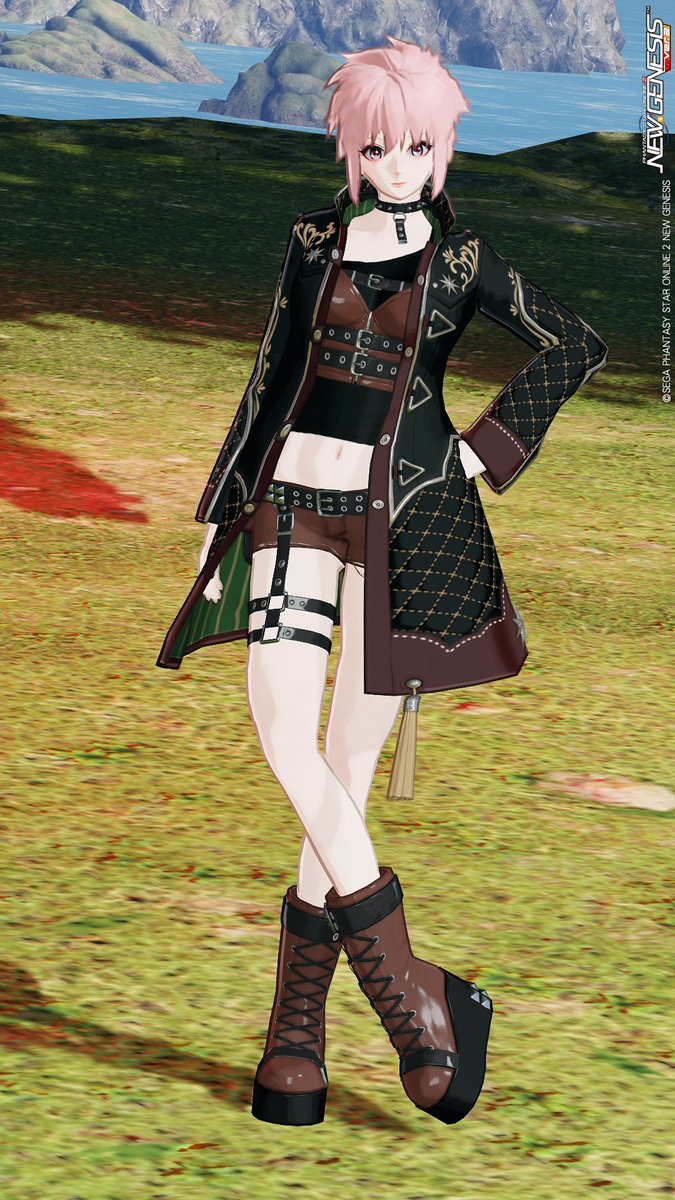 SS撮る時のカメラ固定とライトアップを覚えた！
NGS始めてから1年半くらい？経つけど知らない事多すぎる、、