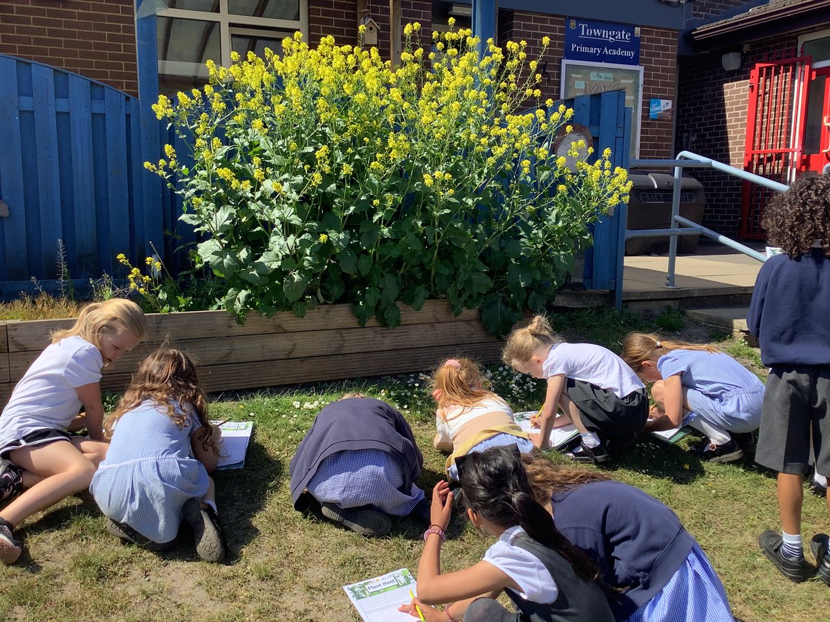 IPMATTowngate's tweet photo. Today in #Year12TPA, we have taken our science learning outside and used our observational skills to identify and draw plants🌱🌻🌼🌸🌷 #ScienceTPA https://t.co/d8sRwUzuuw