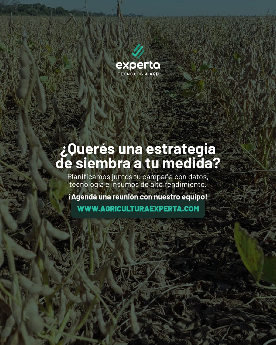 AGD Experta tweet media