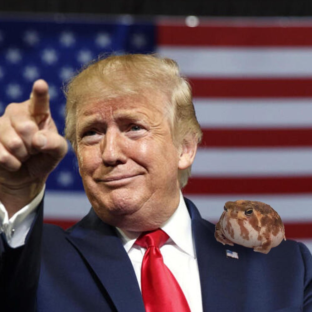 SapoConchito's tweet photo. Buenos Dรญas Hermanos, ay un nuevo amigo ๐ธ๐ต๐ท ETH has @pepecoineth, pumpfun unleashed $Concho, will @onchaintod be the one for Bonk? #NoFrogLeftBehind #NoToadLeftBehind @theunipcs @bonkfun @SolportTom
Concho World Tour Starts Soon, Stay Posted๐ธ๐ต๐ท https://t.co/uTjvUs2nF5