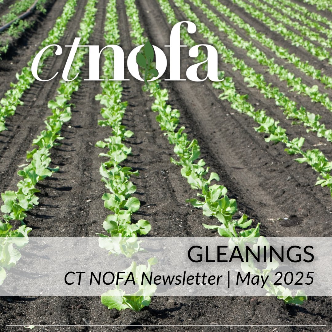 The May issue of Gleanings is here, including news about CT NOFA’s sign on to a national lawsuit and TOMORROW’S compost tea webinar. mailchi.mp/ctnofa/gleanin…