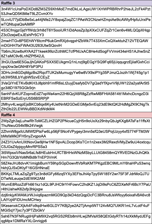 White Basics tweet media