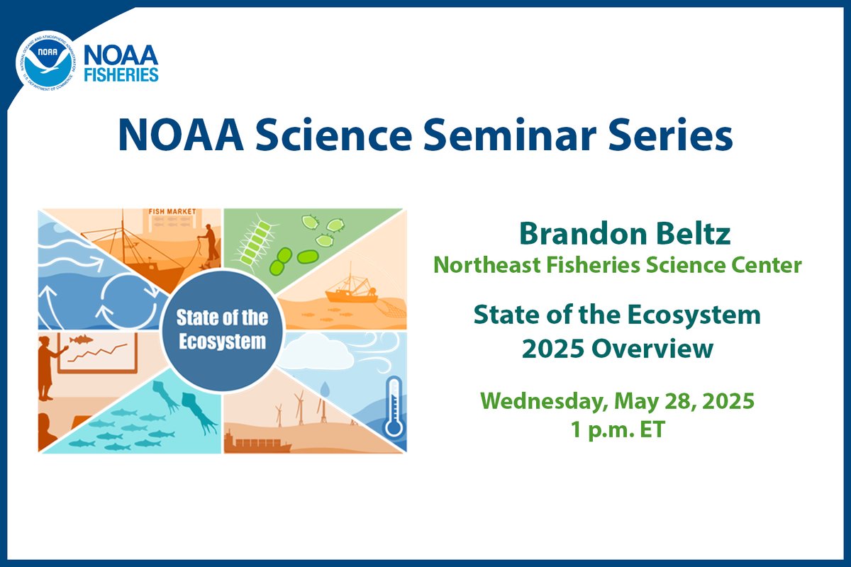 Tune in May 28 at 1pm ET for data analyst Brandon Beltz’s webinar on the 2025 #StateOfTheEcosystem reports for the NE Shelf marine ecosystems: bit.ly/3wy6XkF. Reports: fisheries.noaa.gov/new-england-mi…