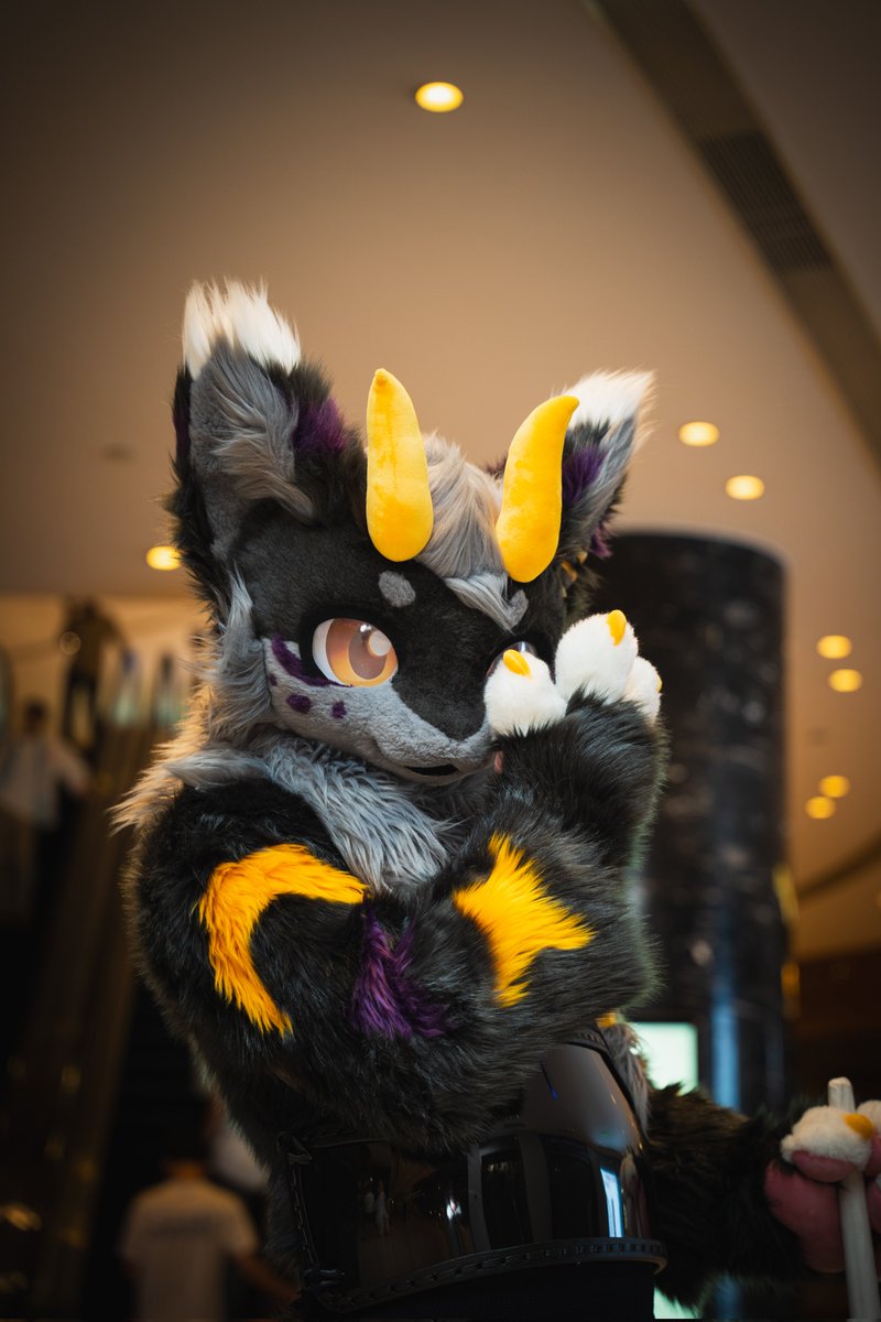 左眼是为了 忘记你
#Hifurry
#FursuitEveryday 
📷： <a href="/Huiye_furry/">辉叶</a>