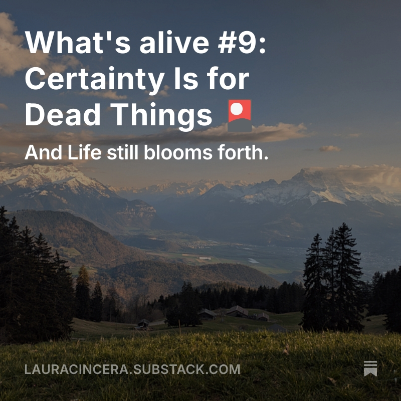 Certainties melted and Life bloomed forth.
I wrote in celebration of the uncertain, messy, beautiful. Want a taste? 🍓

lauracincera.substack.com/p/whats-alive-…
