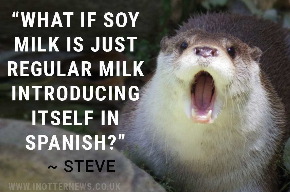In Otter News.... (@in_otter_news2) on Twitter photo 