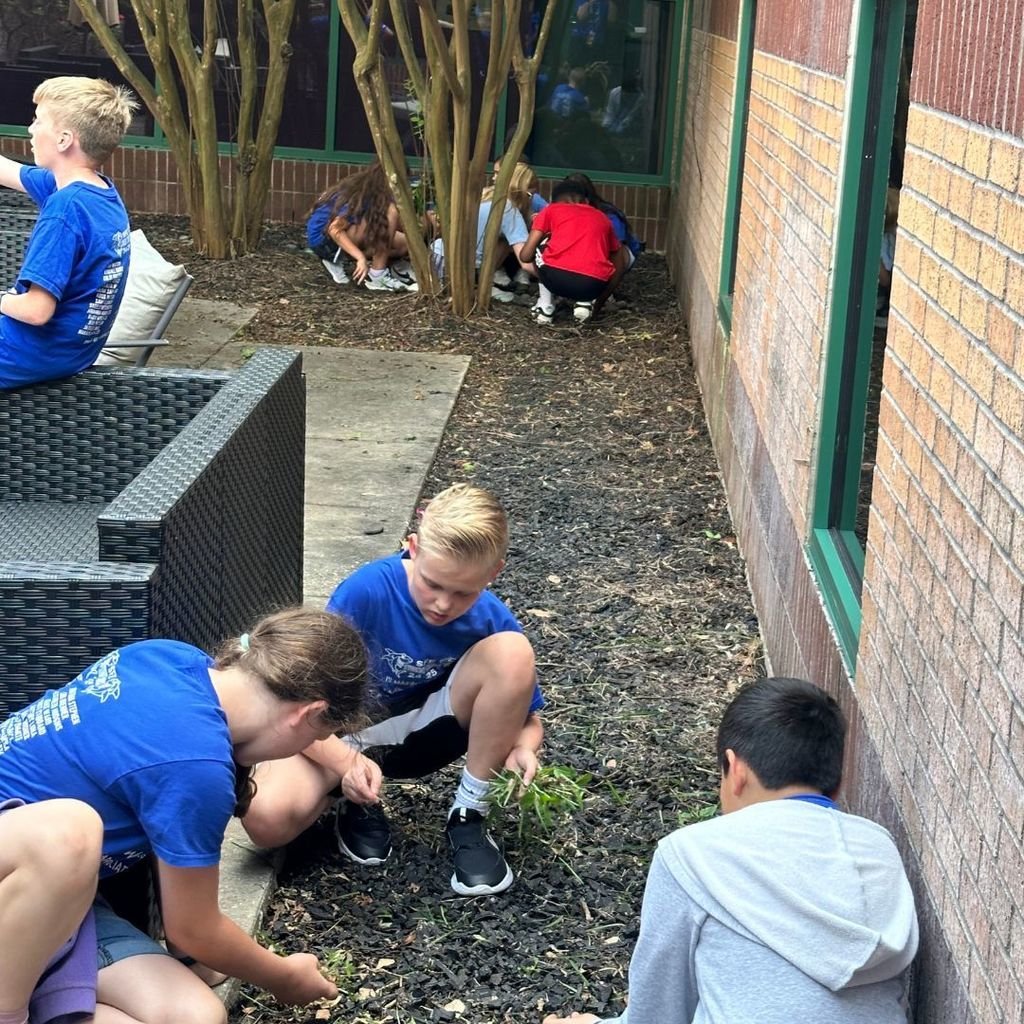 Let's hear it for our 2024-2025 SFE Student Council!  This awesome group of sharks has done a wonderful job of supporting our school this year.

Check out what they did to help clean up our atrium!

#sfesharks #humbleisd