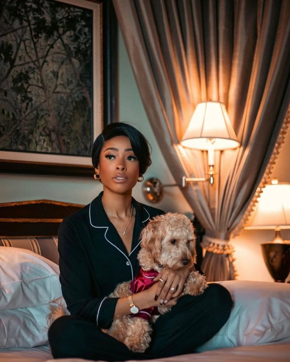 Pawsitively pampered for National Pet Month! 🐾 Treat your pup to a Lakeview King stay with an in-room dog bed, tennis ball, and a custom itinerary of pet-friendly parks, patios, and trails.

Comment PUP for the link to book your pet-approved getaway!
 📷: @heyraychh