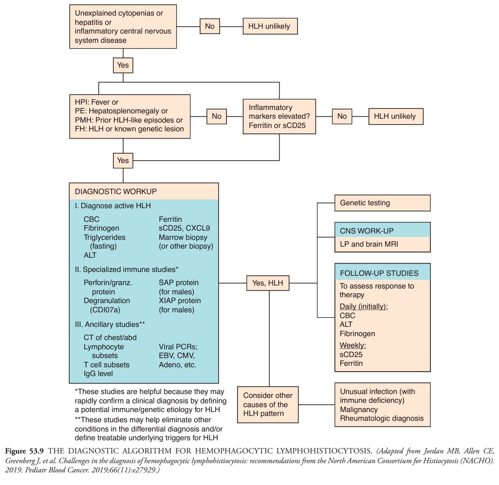 Aravind Palraj (@rheumat_aravind) on Twitter photo The diagnostic algorithm for HLH:
From Hoffman Hematology 8th Edition
<a href="/DrAkhilX/">Dr. Akhil 🇮🇳</a> <a href="/IhabFathiSulima/">Dr Ihab Suliman</a> <a href="/DurgaPrasannaM1/">Durga Prasanna Misra</a> #MedTwitter The diagnostic algorithm for HLH:
From Hoffman Hematology 8th Edition
<a href="/DrAkhilX/">Dr. Akhil 🇮🇳</a> <a href="/IhabFathiSulima/">Dr Ihab Suliman</a> <a href="/DurgaPrasannaM1/">Durga Prasanna Misra</a> #MedTwitter