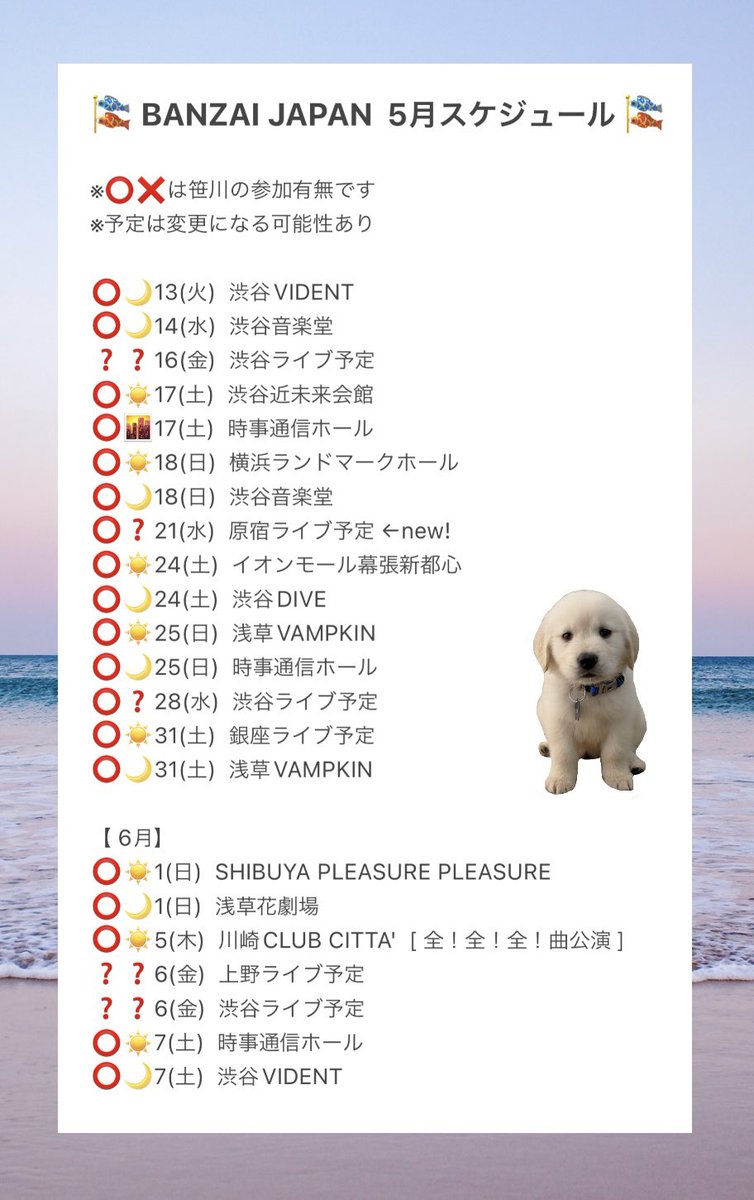 在庫処分 返品交換不可 大きいサイズ メンズ BAD BOY (バッド