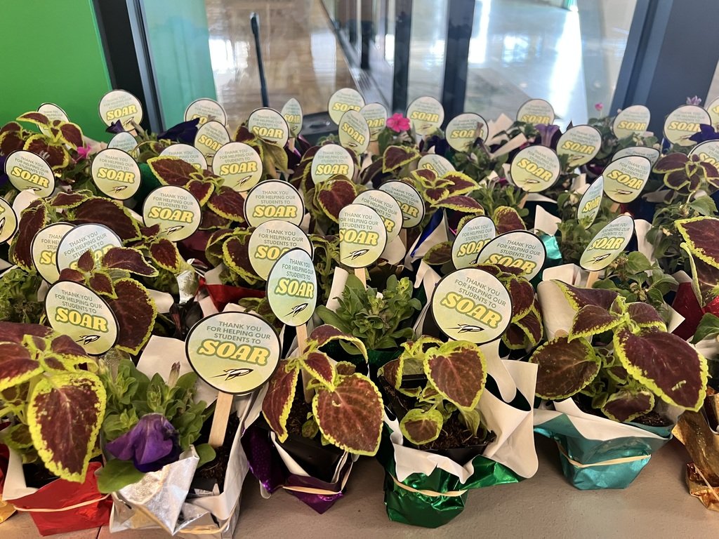 While we celebrate teacher and staff  appreciation once a year, we appreciate them each and every day.  Thank you for all you do for our students and each other. We #SOAR because of you.