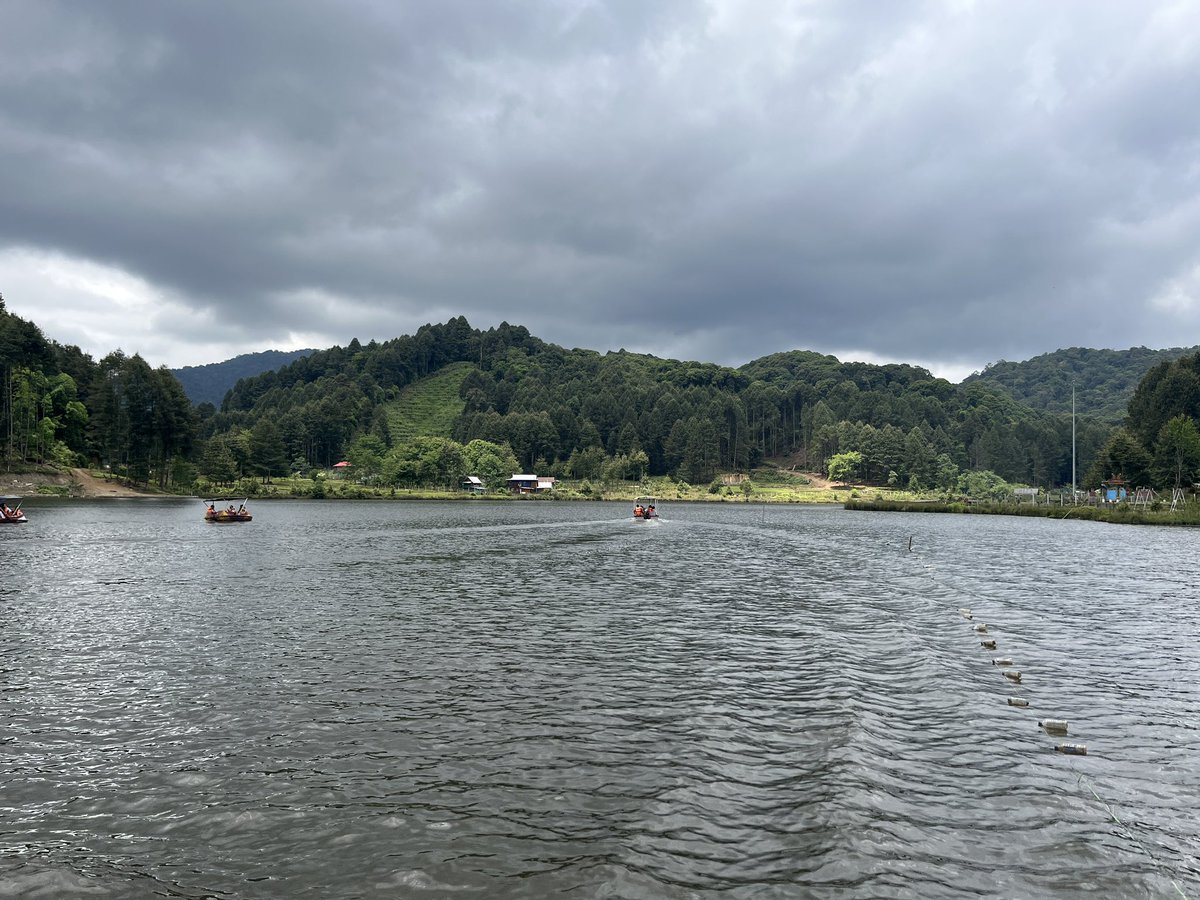 Forests cover 1/3 of the Earth's land, provide clean air and water, store carbon, and are home to much biodiversity. The NE of India &amp; Himalayan ecosystem are global megabiodiversity spots. Lucky to be in Arunachal this week!