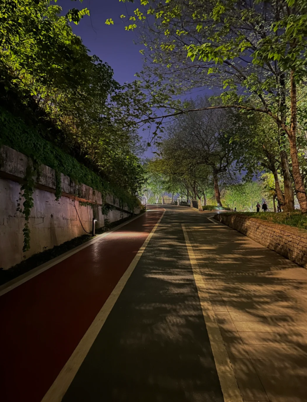 夜の静けさ、街灯に照らされた小道。まるで人生の旅路のようで、静寂の中に希望が満ちている。