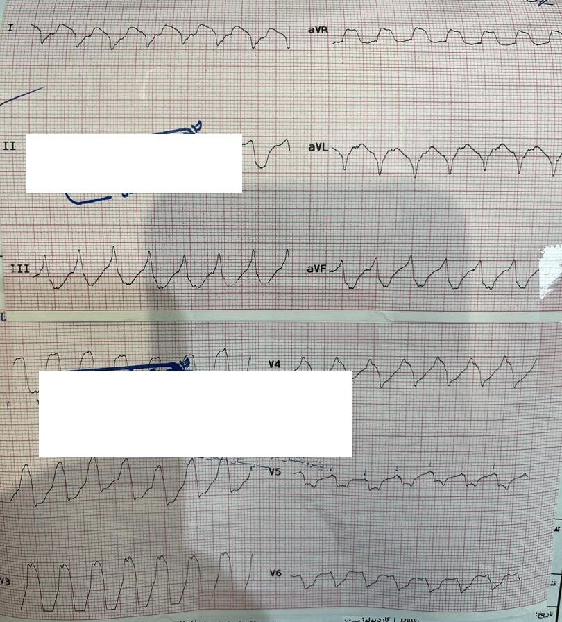 javad mikaeili tweet media