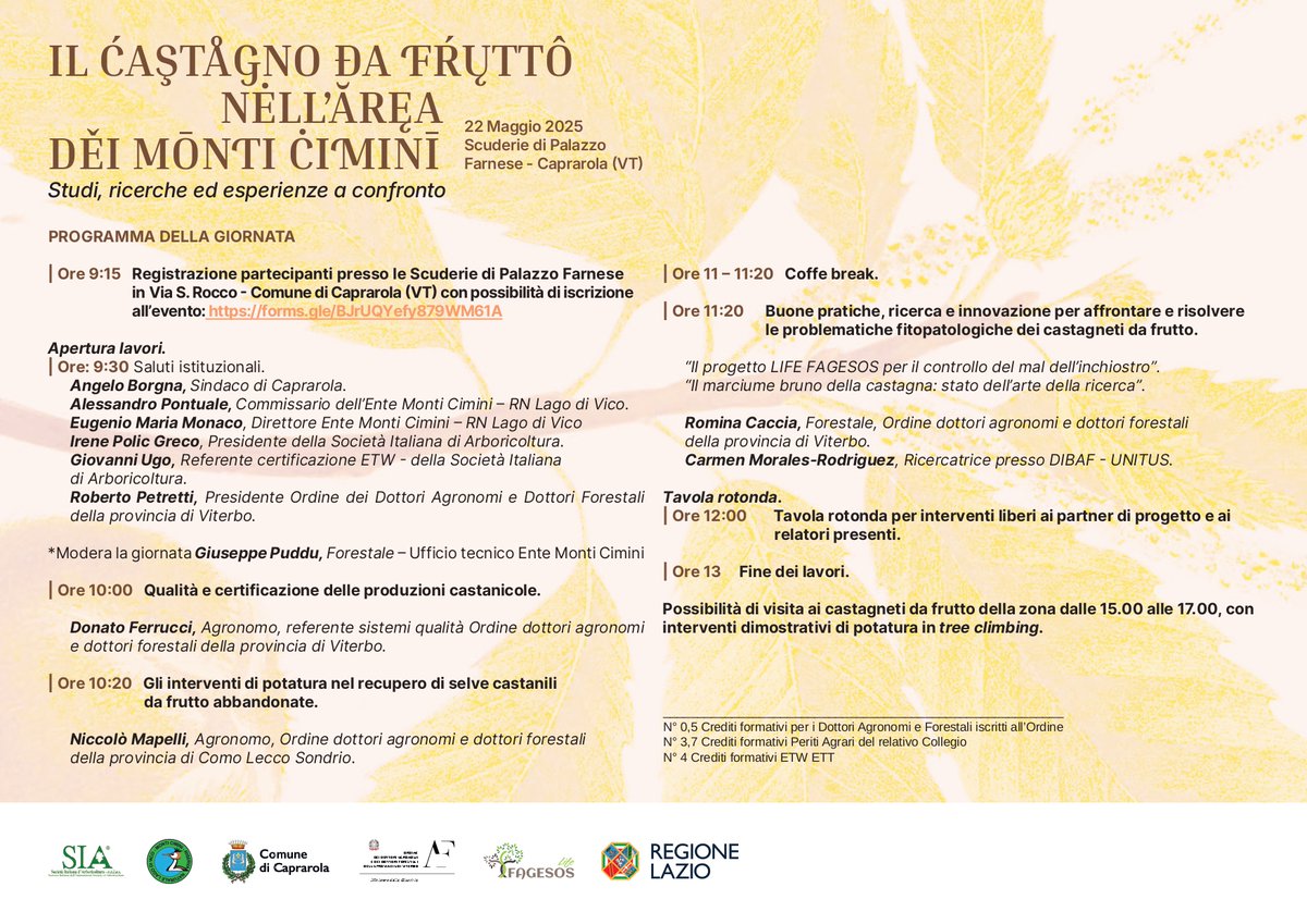 🌳 Learn, climb, connect!
Joinus on May 22, 2025 in Caprarola (VT)
🎯 Agenda:
🌰 Chestnut production &amp; certification
✂️ Pruning + restoration
🛡️ Ink disease control
🌲 Tree climbing demos w/ #TreeClimbing2025!
🔗 Sign up: docs.google.com/forms/d/e/1FAI…
#LIFEAmplifiers