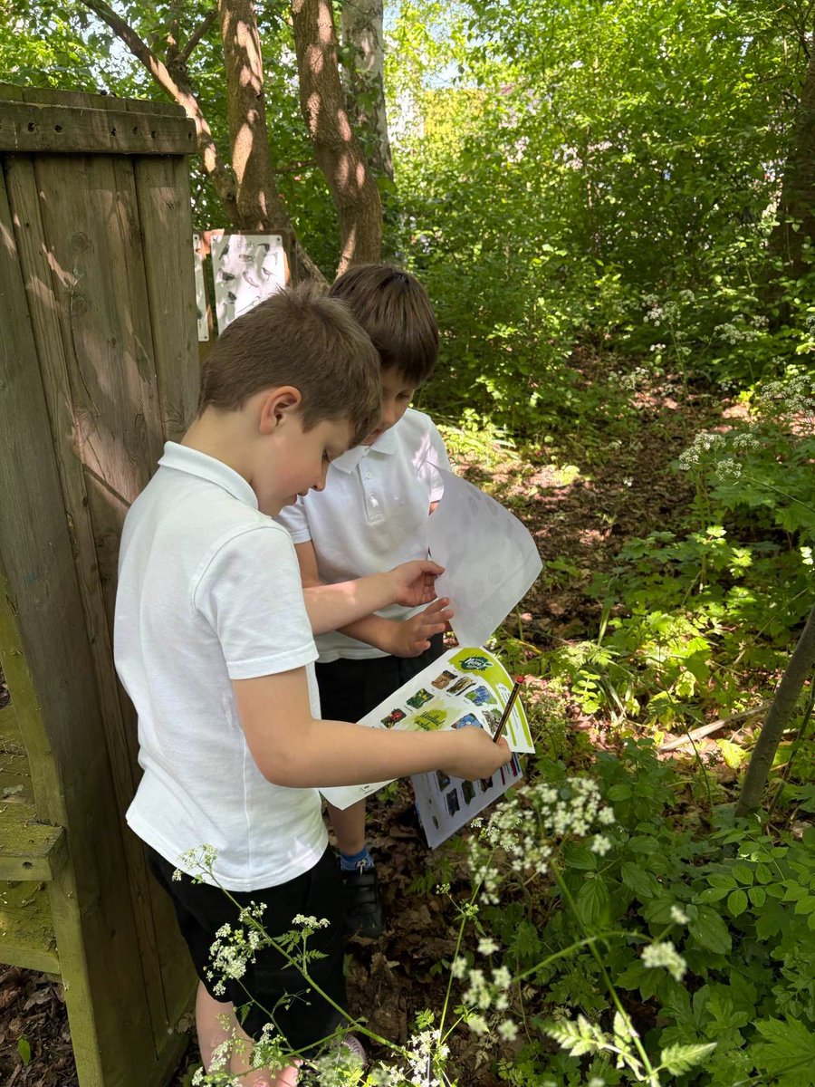 Team Zebras have enjoyed exploring our lovely woodland area today to answer our enquiry question, “What would an explorer see in a woodland habitat?” We found lots of different mini-beasts🐝🦋🐌🐞🐜🕷️🕸️🪰