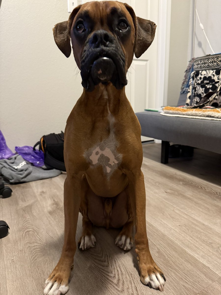Good sit!