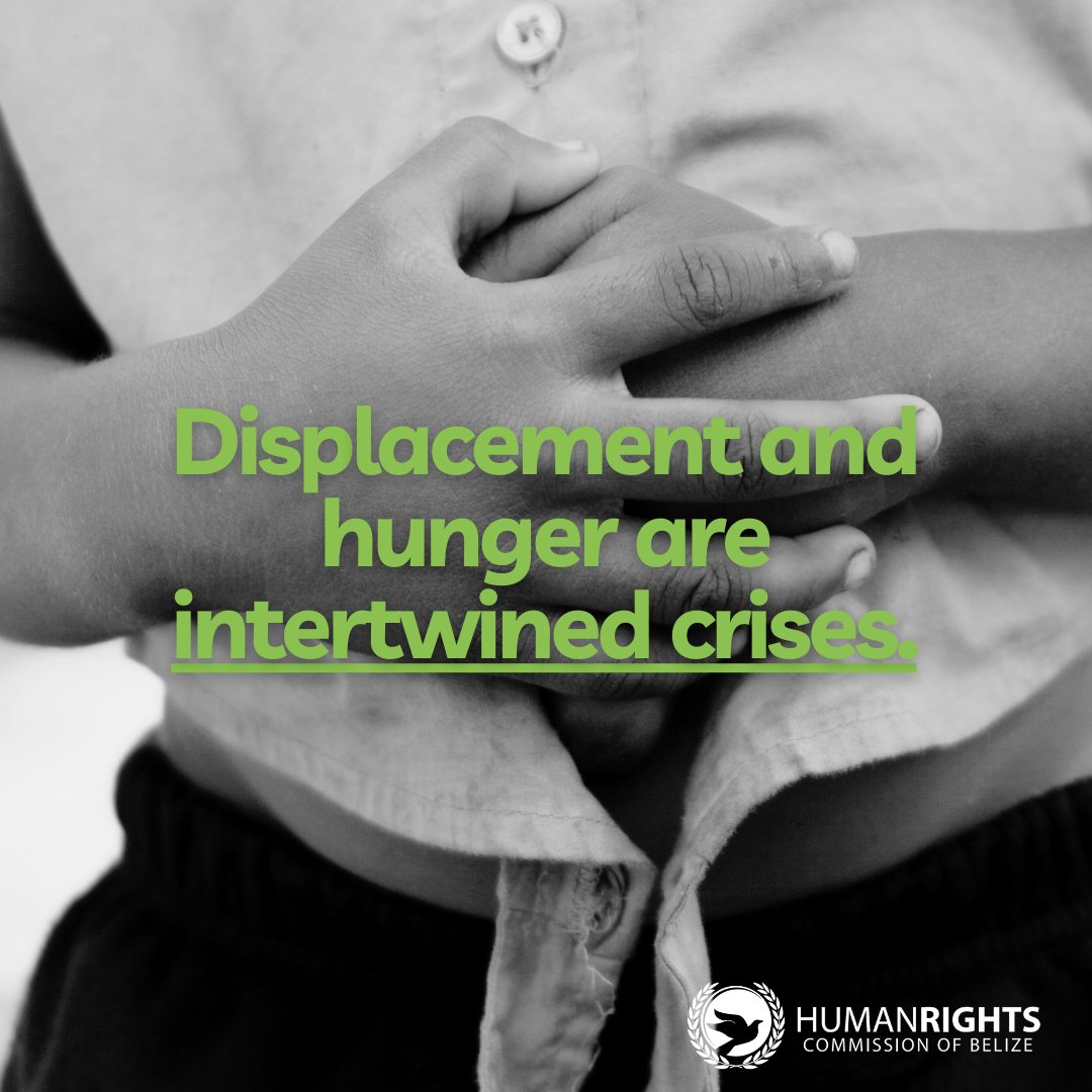 Displacement and hunger are intertwined crises.
As extreme weather worsens, more families are forced from their homes—and into food insecurity.

At HRCB, we stand with displaced communities in Belize, advocating for access to food, shelter, and dignity for all.
#HumanRightsBelize