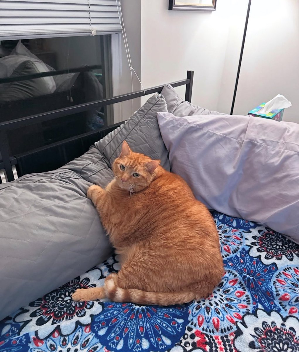 Tüm kış dana gibi yedikten sonra mayıs ayında bizim vücud