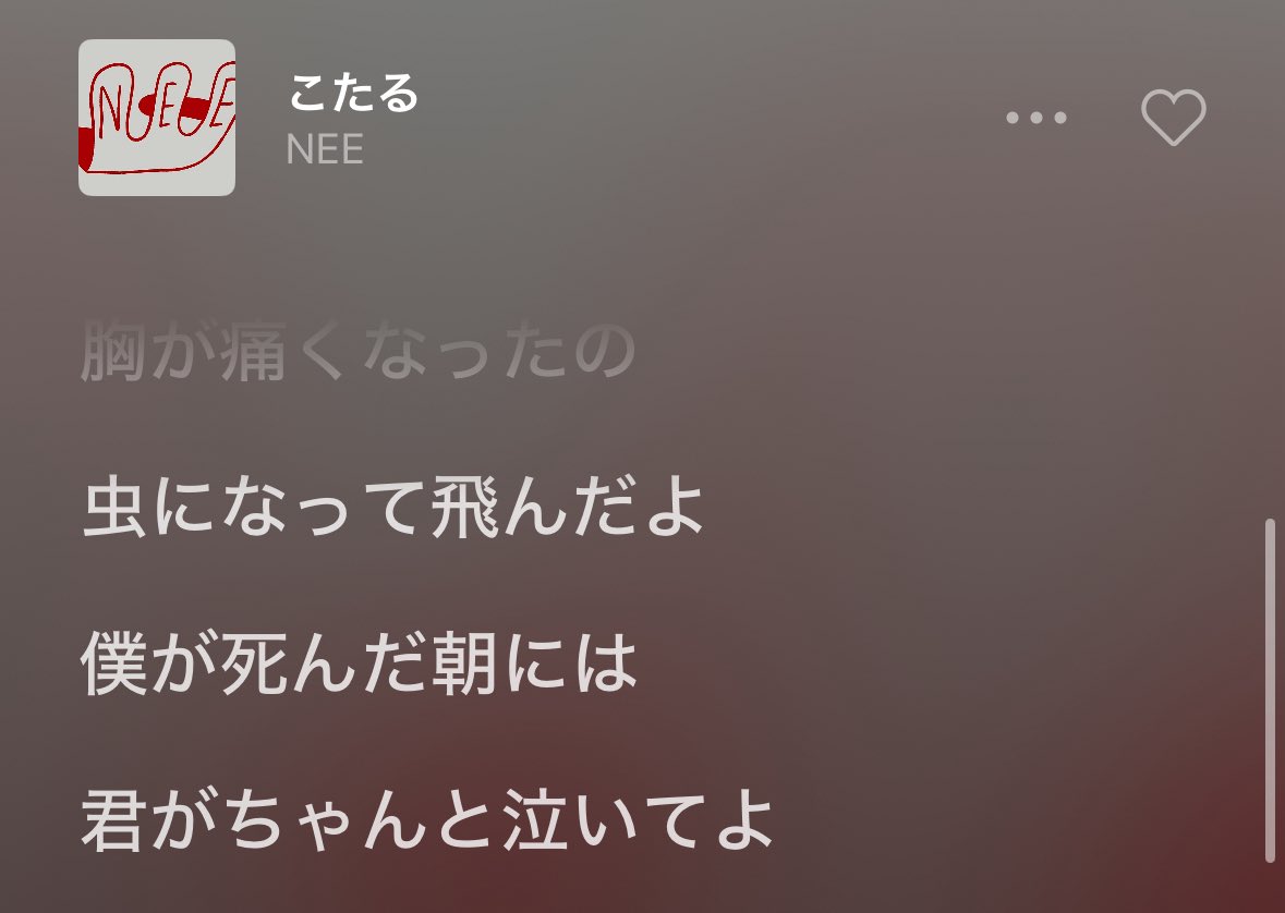 ____fukass's tweet photo. 去年締め切った部屋で泣き続けたら入る余地なんてない��ずなのに部屋にハエが飛んでて、こたるのこの歌詞があるから逃がすに逃がせなくて部屋にずっと飛ばせてあげてたんだけど今日、一年越しに全く同じようなハエが自分の部屋にまた飛んでて蔵馬だったんだろうなと再確認した、おかえり https://t.co/DTkQ3QlIuM