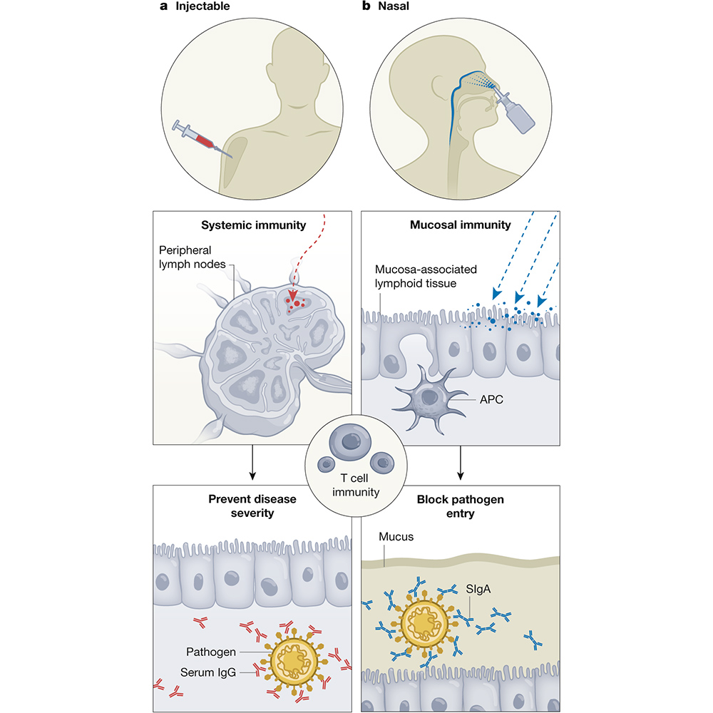 Nature Portfolio tweet media