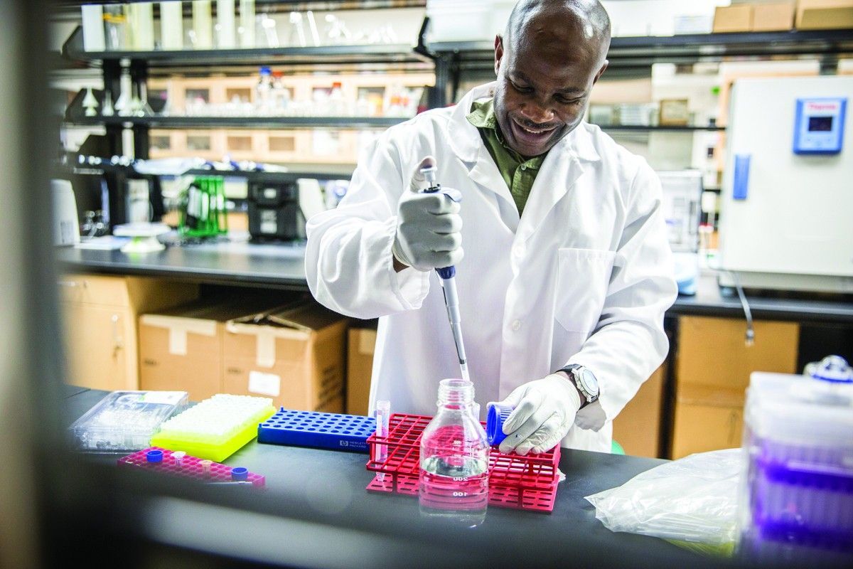 Scientists at UW-Madison have reprogrammed a microbe that eats toxins from broken down plant fiber while leaving the sugars untouched. A major step forward in biofuel production! Read more: energy.wisc.edu/news/rewired-m… #biofuels #bioenergy #uwmadison #microbe