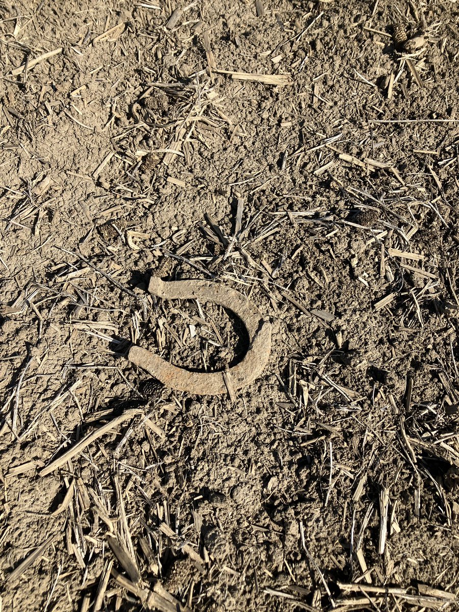 Chris Robson CCA-ON (@chrisrobson11) on Twitter photo It has to be a good sign when planting a corn plot when you find a horseshoe right? <a href="/PioneerSeedsCA/">Pioneer Seeds Canada</a> It has to be a good sign when planting a corn plot when you find a horseshoe right? <a href="/PioneerSeedsCA/">Pioneer Seeds Canada</a>