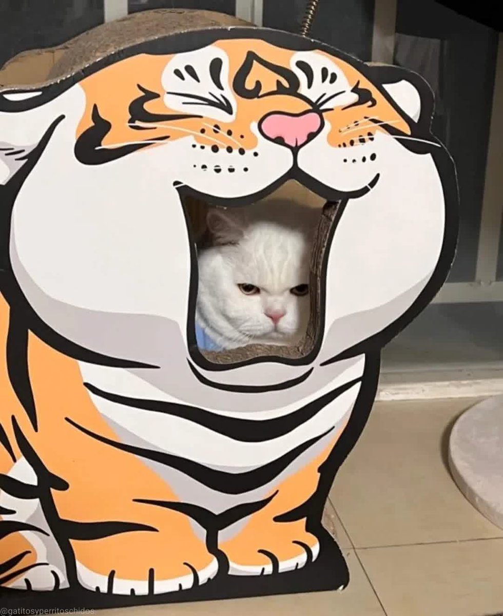 "There is a tiger inside of you"
The tiger inside me: