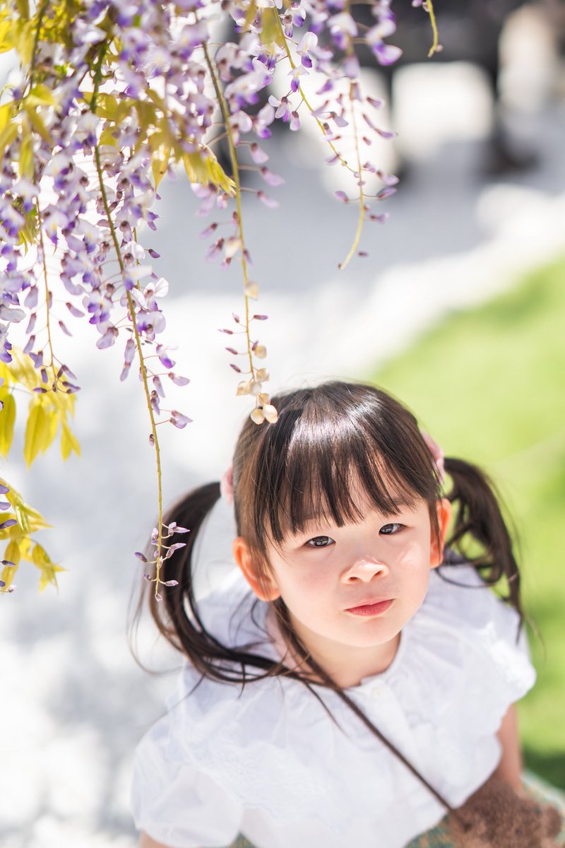 Aya さん　確認ページ Airペイ オンライン決済 取引履歴の確認 – Airペイ - FAQ -