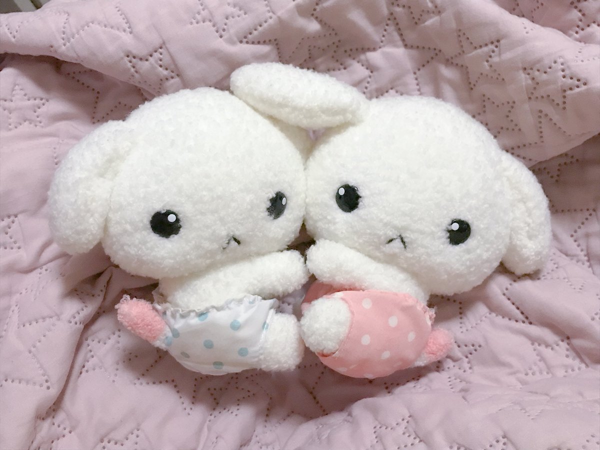 apooririn9's tweet image. 