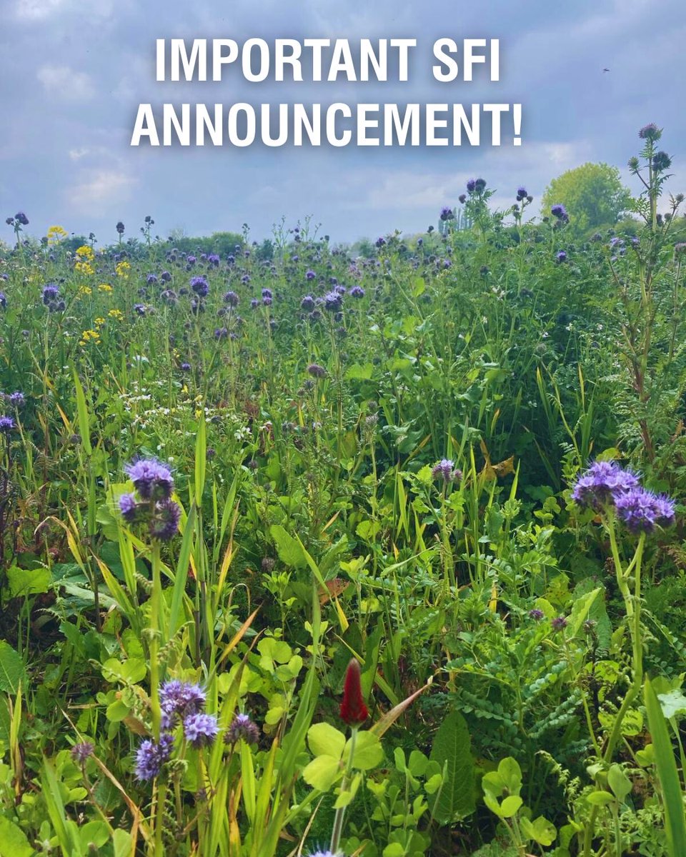 ❗This afternoon, DEFRA have confirmed that SFI 2024 will re-open briefly to farmers who had started, but not yet submitted an application for SFI 2024. This will only apply to those who had an application open after 12th January 2025❗

New agreements will be based on a number