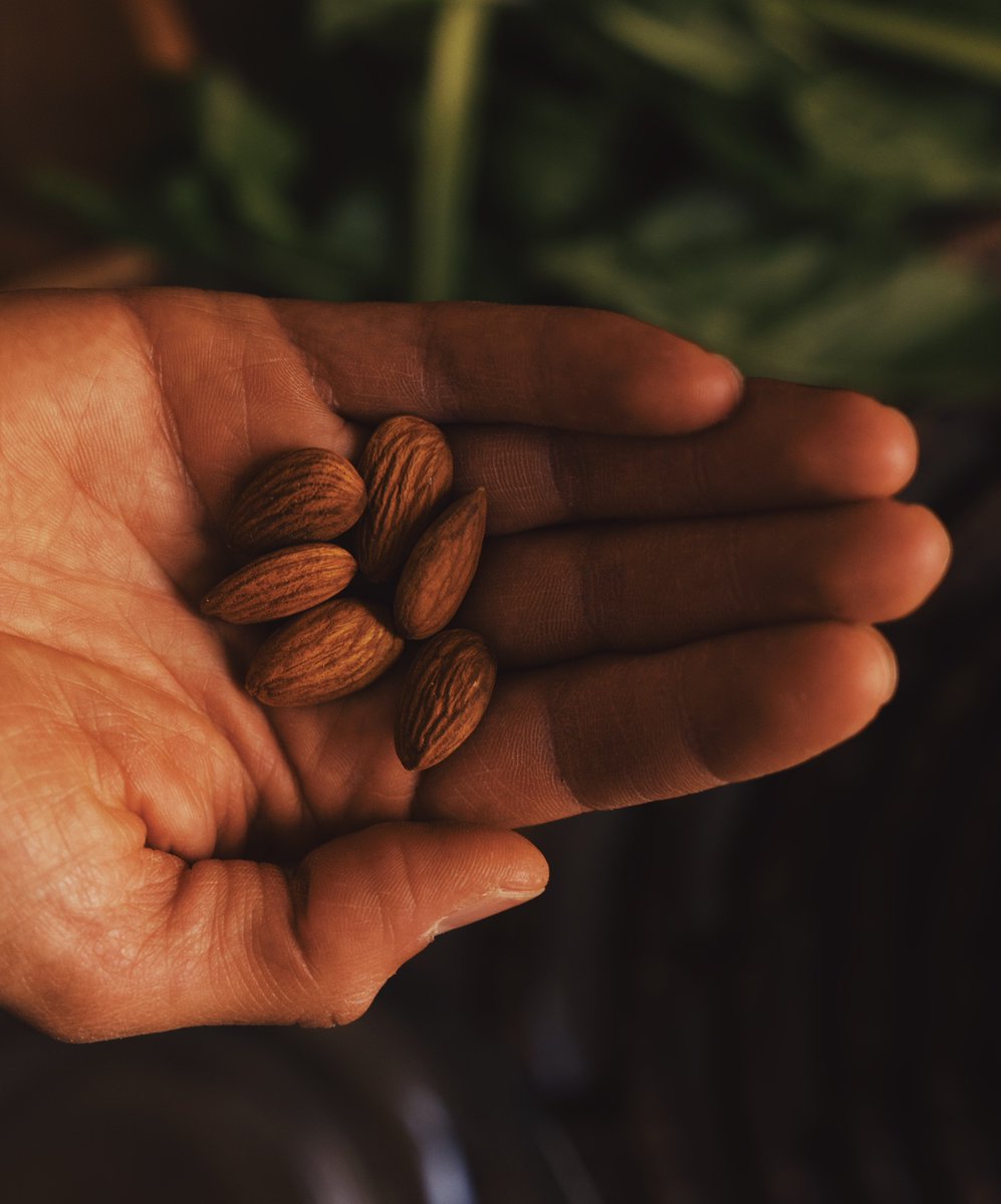 The Locavore (@thelocavorein) on Twitter photo In an excerpt from the book, published by <a href="/juggernautbooks/">juggernautbooks</a>, the harsh realities of Delhi’s informal almond industry are brought to light through Syeda’s story.
Read on: thelocavore.in/2025/05/08/the…
#BooksOnFood #FoodAndLabour
(2/5) In an excerpt from the book, published by <a href="/juggernautbooks/">juggernautbooks</a>, the harsh realities of Delhi’s informal almond industry are brought to light through Syeda’s story.
Read on: thelocavore.in/2025/05/08/the…
#BooksOnFood #FoodAndLabour
(2/5)