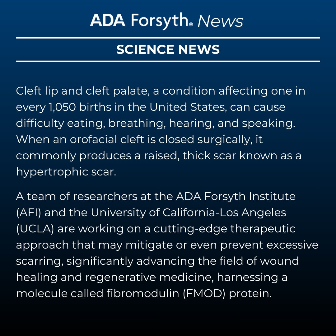 ForsythResearch's tweet image. Research being conducted by scientists at ADA Forsyth highlights how fibromodulin may help prevent thick scarring after cleft lip/palate surgery. This innovative study is co-led by AFI adjunct faculty Dr. Eric Kang Ting. Read the full press release here: forsyth.org/novel-therapeu…