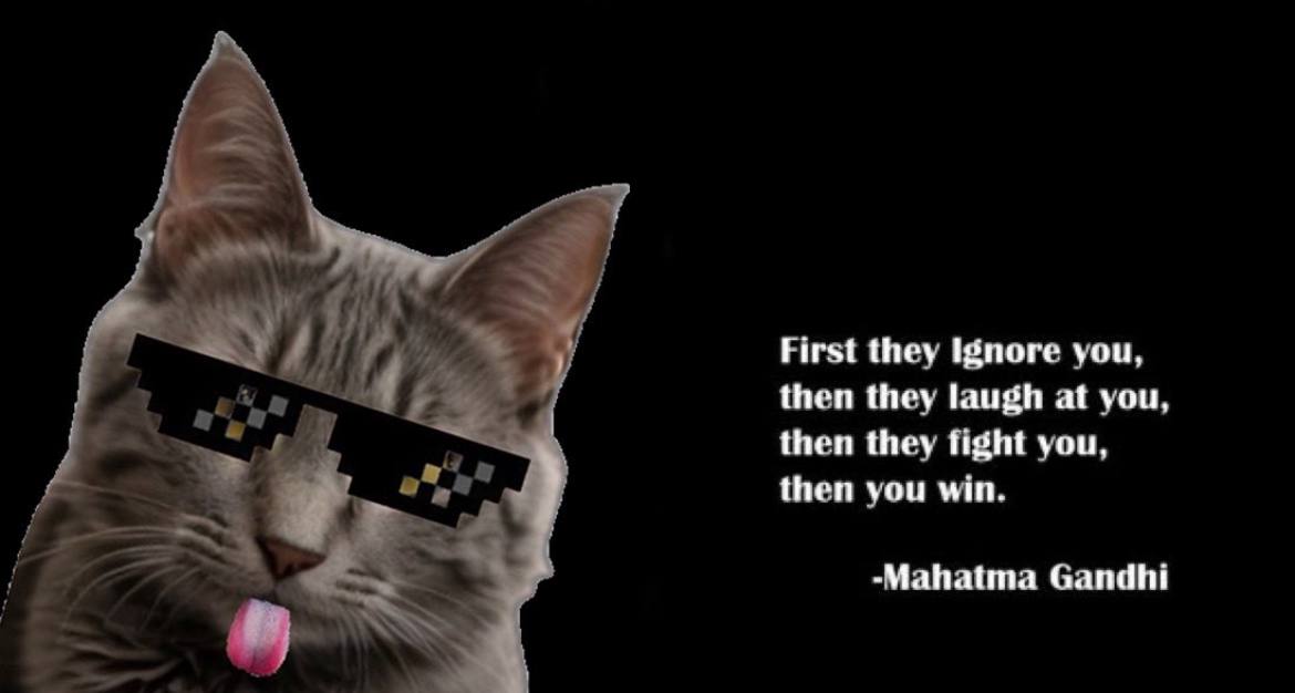 Boba Cat (@bobacatpsps) on Twitter photo 