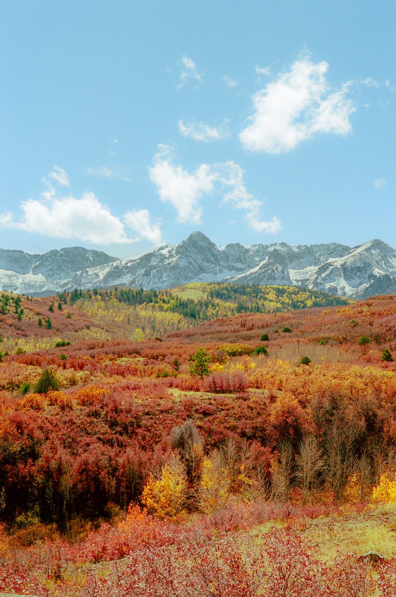 AlexKittoe's tweet photo. Colors of Colorado 🎞️ https://t.co/iP6nqF6sXP