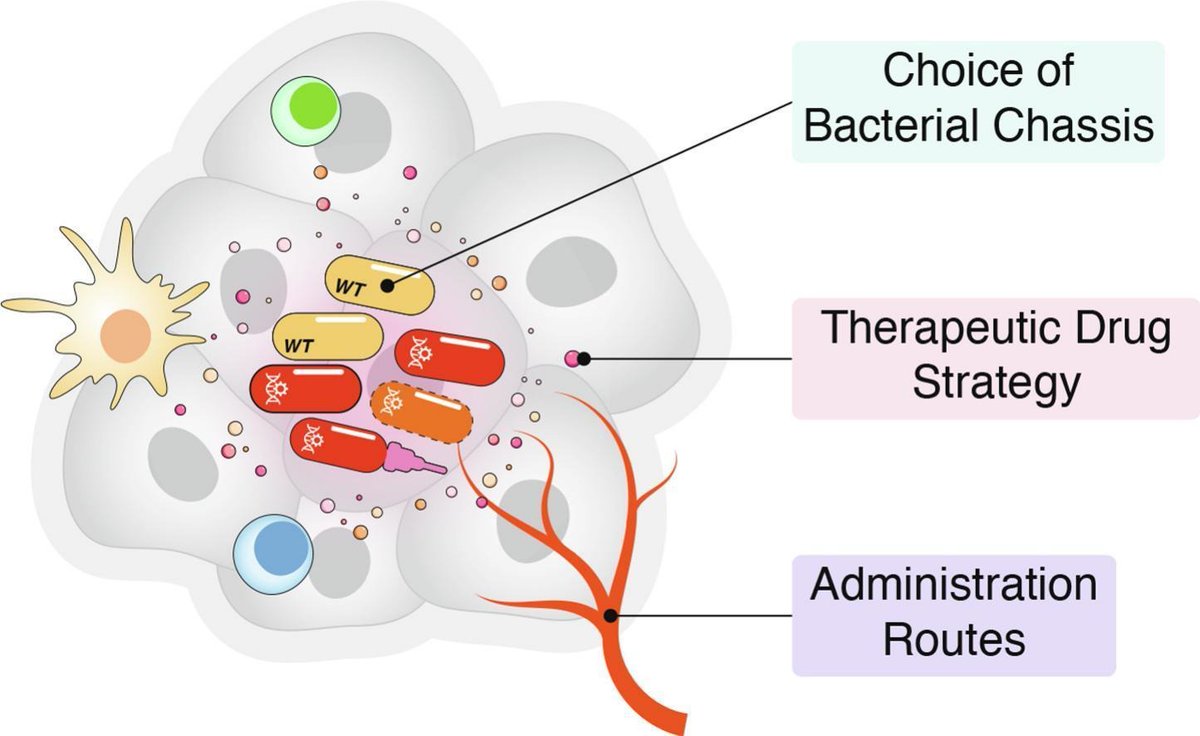 Editors of Advanced Drug Delivery Reviews (@addreditors) on Twitter photo ADDR 50 days' free access: Designing Live Bacterial Therapeutics for Cancer.
By Mark Mimee & coworkers <a href="/UChicago_Micro/">UChicago Department of Microbiology</a>
#EngineeredBacteria #SyntheticBiology
kwnsfk27.r.eu-west-1.awstrack.me/L0/https:%2F%2… ADDR 50 days' free access: Designing Live Bacterial Therapeutics for Cancer.
By Mark Mimee & coworkers <a href="/UChicago_Micro/">UChicago Department of Microbiology</a>
#EngineeredBacteria #SyntheticBiology
kwnsfk27.r.eu-west-1.awstrack.me/L0/https:%2F%2…