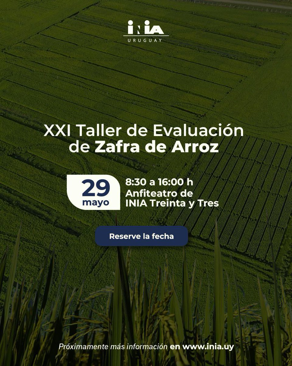 ACA (@acaoficial) on Twitter photo 🔔AGENDATE
🔜 xxɪ ᴛᴀʟʟᴇʀ ᴇᴠᴀʟᴜᴀᴄɪóɴ ᴅᴇ ᴢᴀꜰʀᴀ ᴀʀʀᴏᴢ 🌾 <a href="/INIA_UY/">INIA URUGUAY</a>
🗓️ 29/5 • ⏰8.30 am
📍INIA Treinta y Tres
🗣️Evento presencial 🔔AGENDATE
🔜 xxɪ ᴛᴀʟʟᴇʀ ᴇᴠᴀʟᴜᴀᴄɪóɴ ᴅᴇ ᴢᴀꜰʀᴀ ᴀʀʀᴏᴢ 🌾 <a href="/INIA_UY/">INIA URUGUAY</a>
🗓️ 29/5 • ⏰8.30 am
📍INIA Treinta y Tres
🗣️Evento presencial