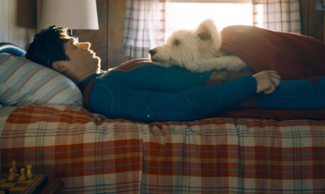 GeekRoomArg's tweet photo. Krypto no es solo un perro, es un perro y eso lo hace un heroe. Muchos lo veran como un alivio comico pero realmente significa mucho mas.
El amor de las mascotas es incondicional. Quizas uno de los amores mas puros del planeta.
Poder ver esta relacion en #Superman es un regalo. https://t.co/JyA1ehOnDw