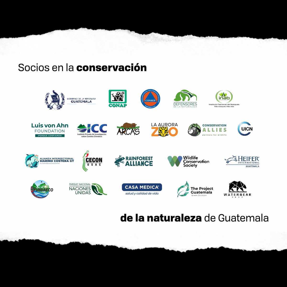 🌿💔🔥 Un incendio forestal no solo quema árboles...🌍 Pierdes tú también.
🐾 Biodiversidad destruida = Eslabones rotos
👨🚒 Vidas en riesgo: bomberos vs. vientos + calor extremo.
✨ Tú puedes cambiarlo:
✅ Reporta quemas ilegales.
✅ ¡No hagas fogatas!
🔄 RT para correr la voz