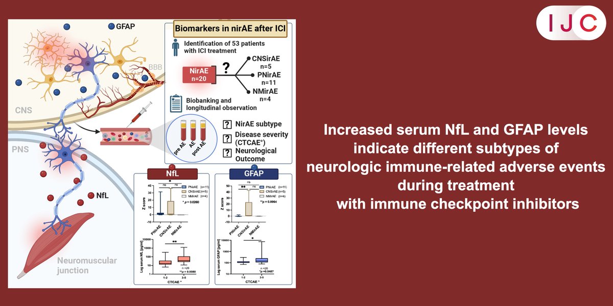 NOW ONLINE!

New research identifies NFL and GFAP as promising biomarkers for neurological immune-related adverse events from immune checkpoint therapy. #Immunotherapy

🔓OPEN ACCESS

➡️doi.org/10.1002/ijc.35…