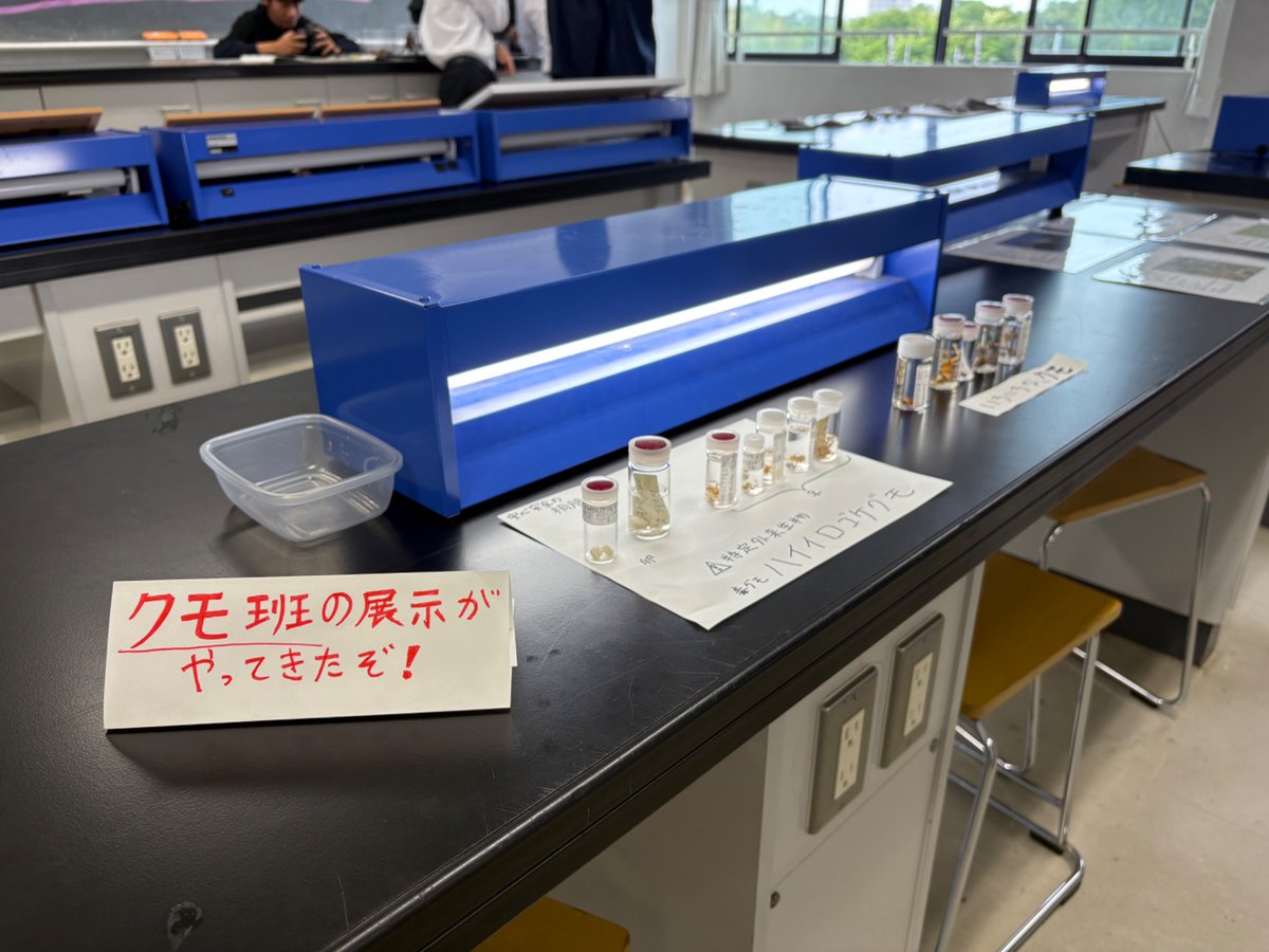 tohobio_web's tweet photo. 土曜日の学校説明会にて、少しだけ展示を出しました！
少し遅れての出展となったため、前半にいらした方は見られていないかと思いますが、桐朋祭でも展示しているので、ぜひ見に来てください！
※紙の種名や説明は部員がその場のアドリブで書いています https://t.co/gF5rL8JsCa