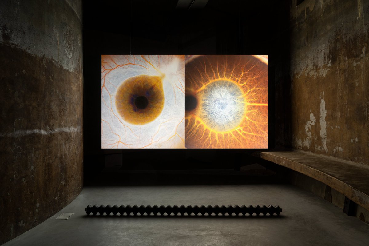 Join us on Thursday, May 22, 2025, for "Prediction, Simulation, and the Incalculable Model" by Femke Herregraven. Part of the In the Making series by ACPA Leiden, hosted at West Den Haag. Includes a discussion with Dr. Francesco Ragazzi and Dr. Marleen Stikker.