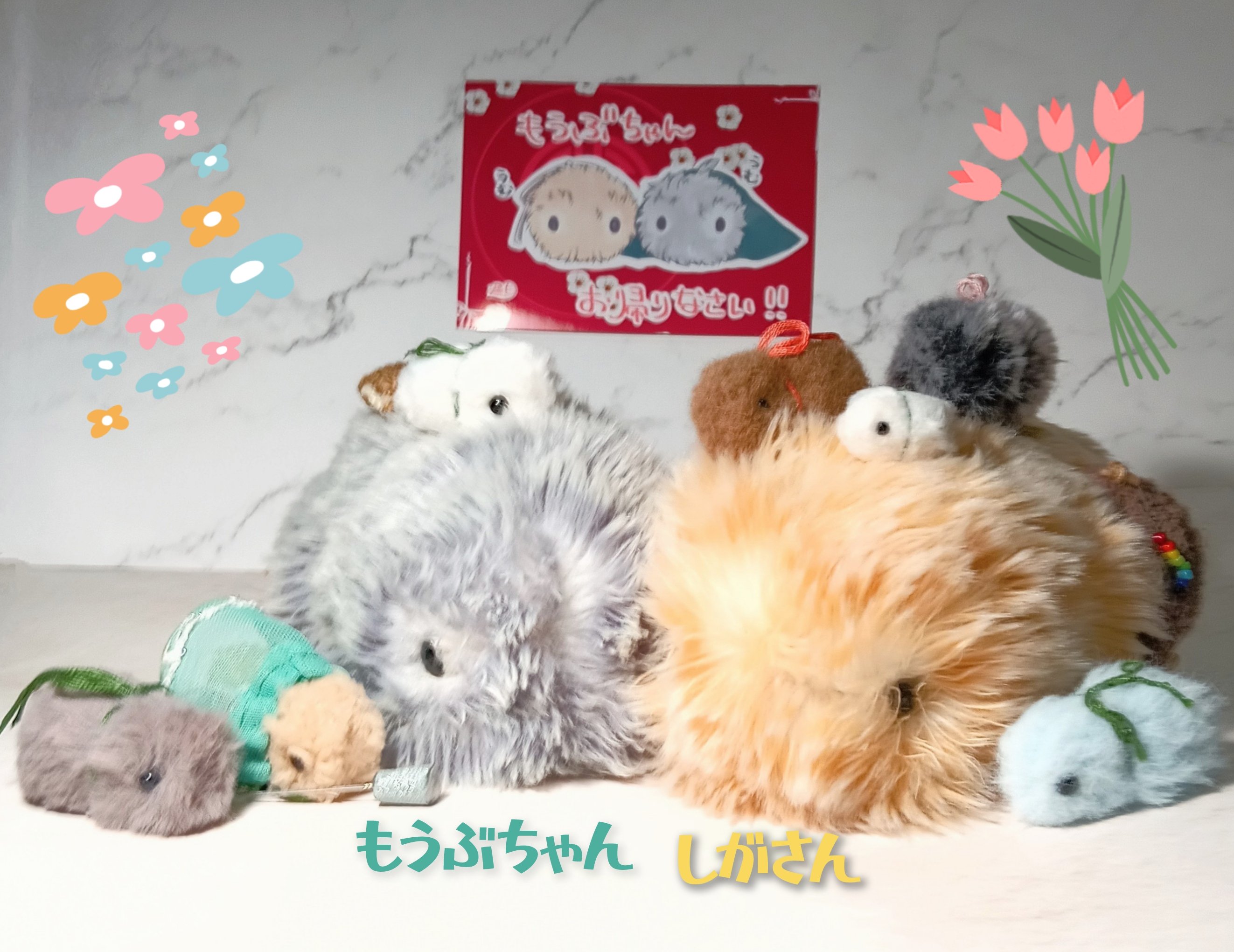 Posts with replies by らいふー星星春春 (@VMWFEGKJQx90154) / X