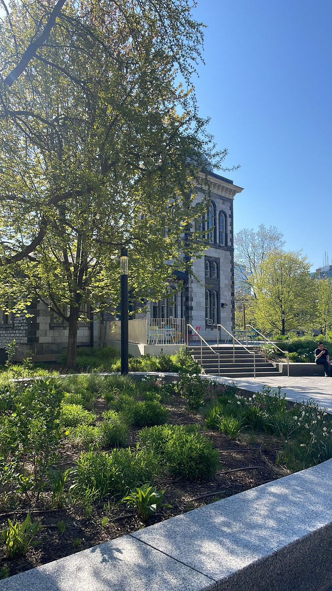 jedodinh's tweet image. 🛬 in Toronto! Excited for ZKSummit13! #zksummit #toronto @zeroknowledgefm @UofT